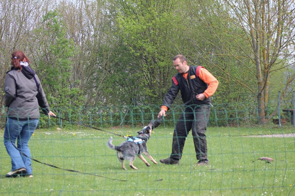 IMG_1742